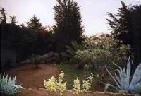 Gartenansicht